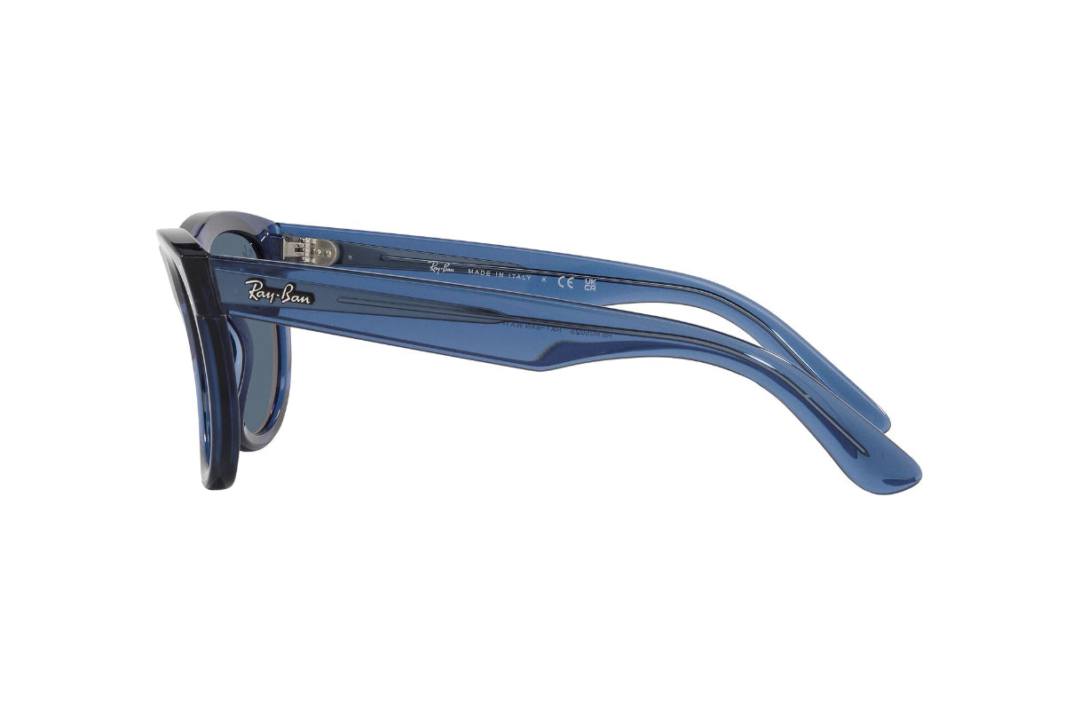 Ray-Ban Wayfarer Reverse